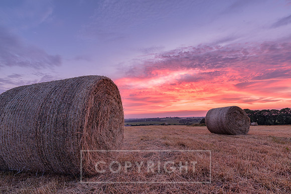 Sunset Bales