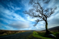 The Sally Gap Wicklow