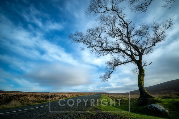 The Sally Gap Wicklow