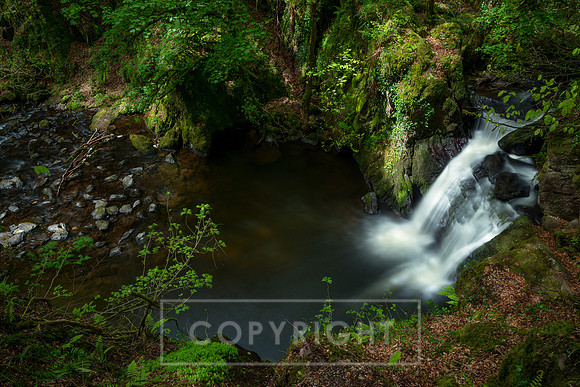 Mullinhassig Woods Cork