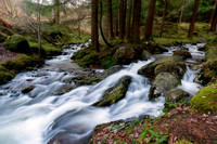 In Flow Glendalough Wicklow