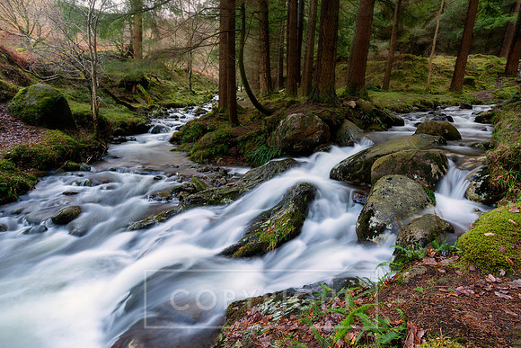 In Flow Glendalough Wicklow
