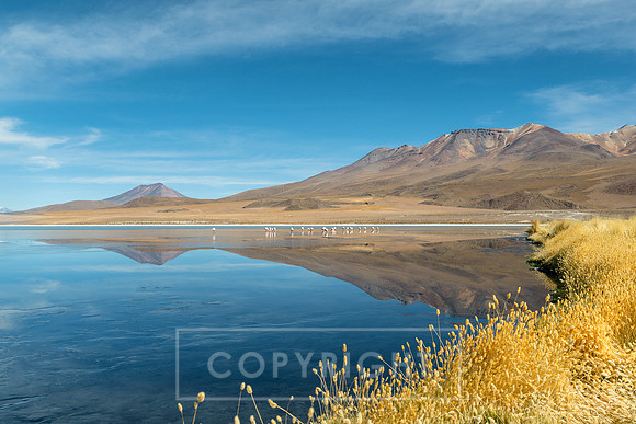 Atacama Desert Bolivia