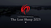 Thumbnail Lost Sheep 2023