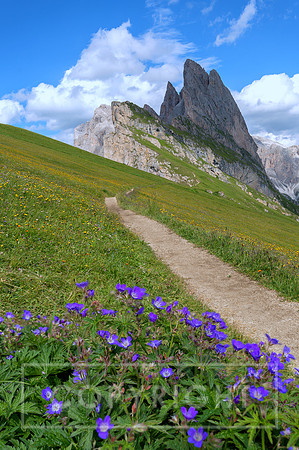 Seceda South Tyrol