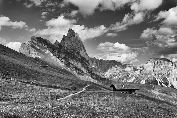 Seceda South Tyrol B&W