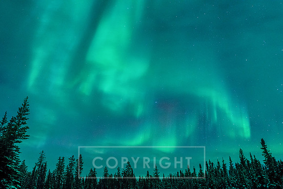 Northern Lights at Yellowknife Canada