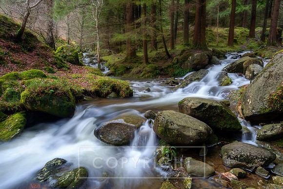 Clearwater Glendalough Wicklow