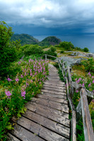Newfoundland (4 of 5)