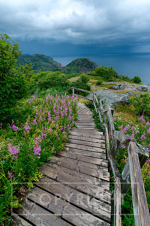 Newfoundland (4 of 5)