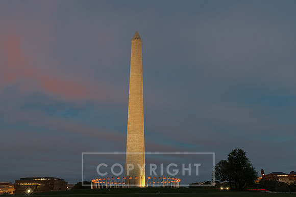 Washington USA