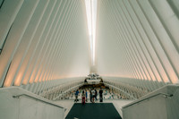 The Oculus, New York city