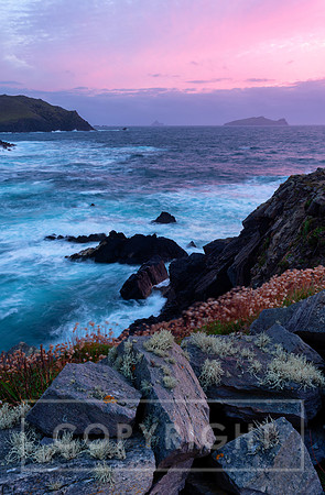 Wall in front of Blasket Islands