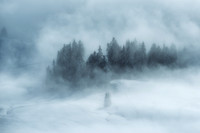 Austria_Soll Fog 3