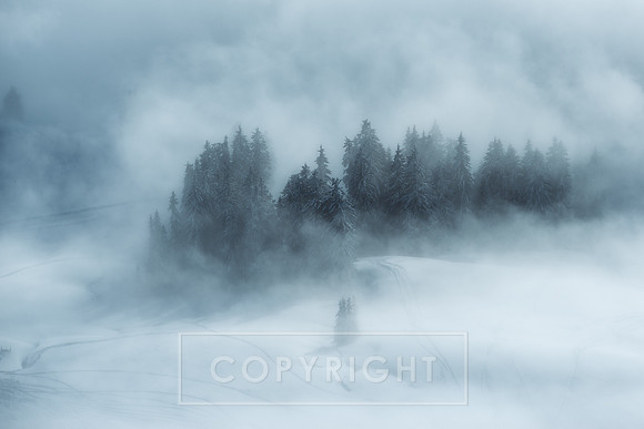 Austria_Soll Fog 3