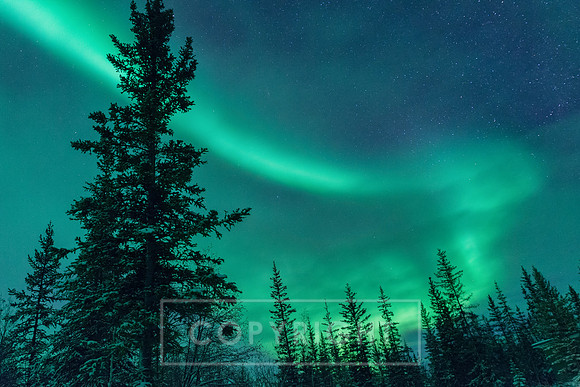 Northern Lights at Yellowknife Canada