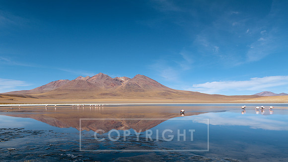 Atacama Desert Bolivia