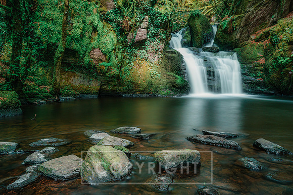 Mullinhassig Woods Cork