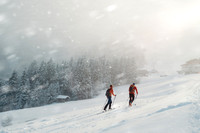 Austria_Soll Cross Country Skiers
