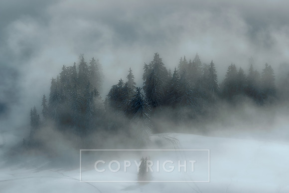 Austria_Soll Fog 2