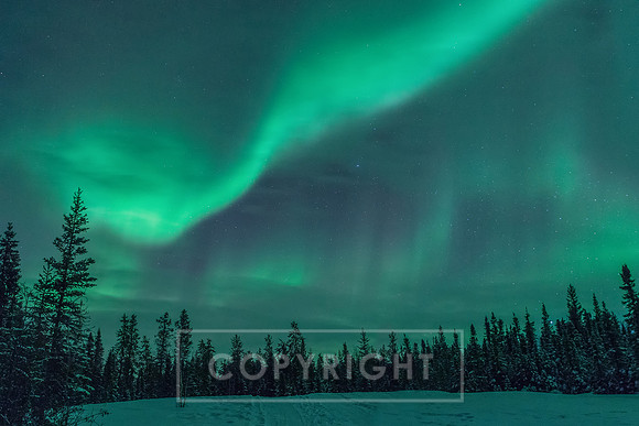 Northern Lights at Yellowknife Canada