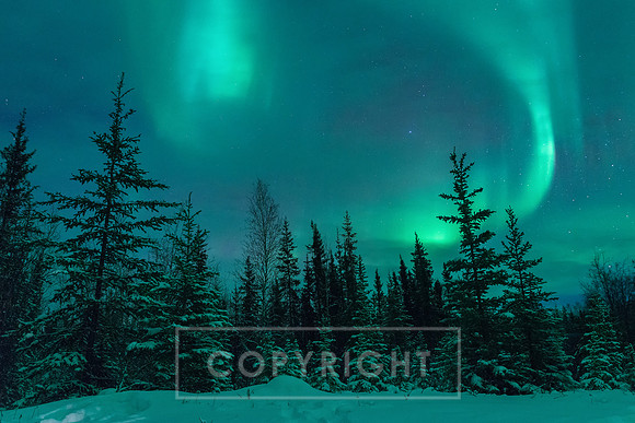 Northern Lights at Yellowknife Canada